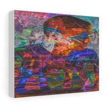 Load image into Gallery viewer, Arjun Kapadia&#39;s &quot;Ozee Power&quot; Canvas Gallery Wrap
